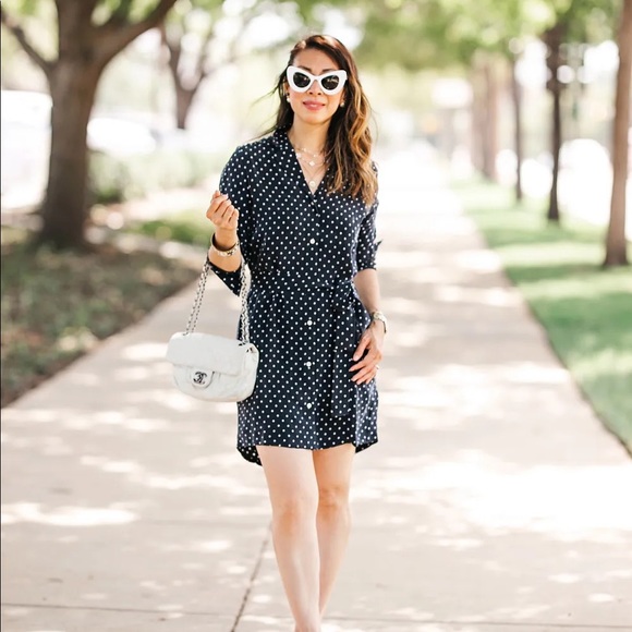 Everlane Dresses & Skirts - Blogger fave Everlane The Polka Dot Shirt Dress 00 Navy